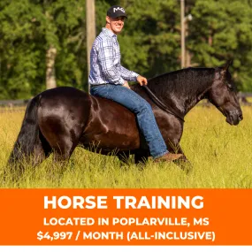 50% Off Horse Training With $500 Deposit Today