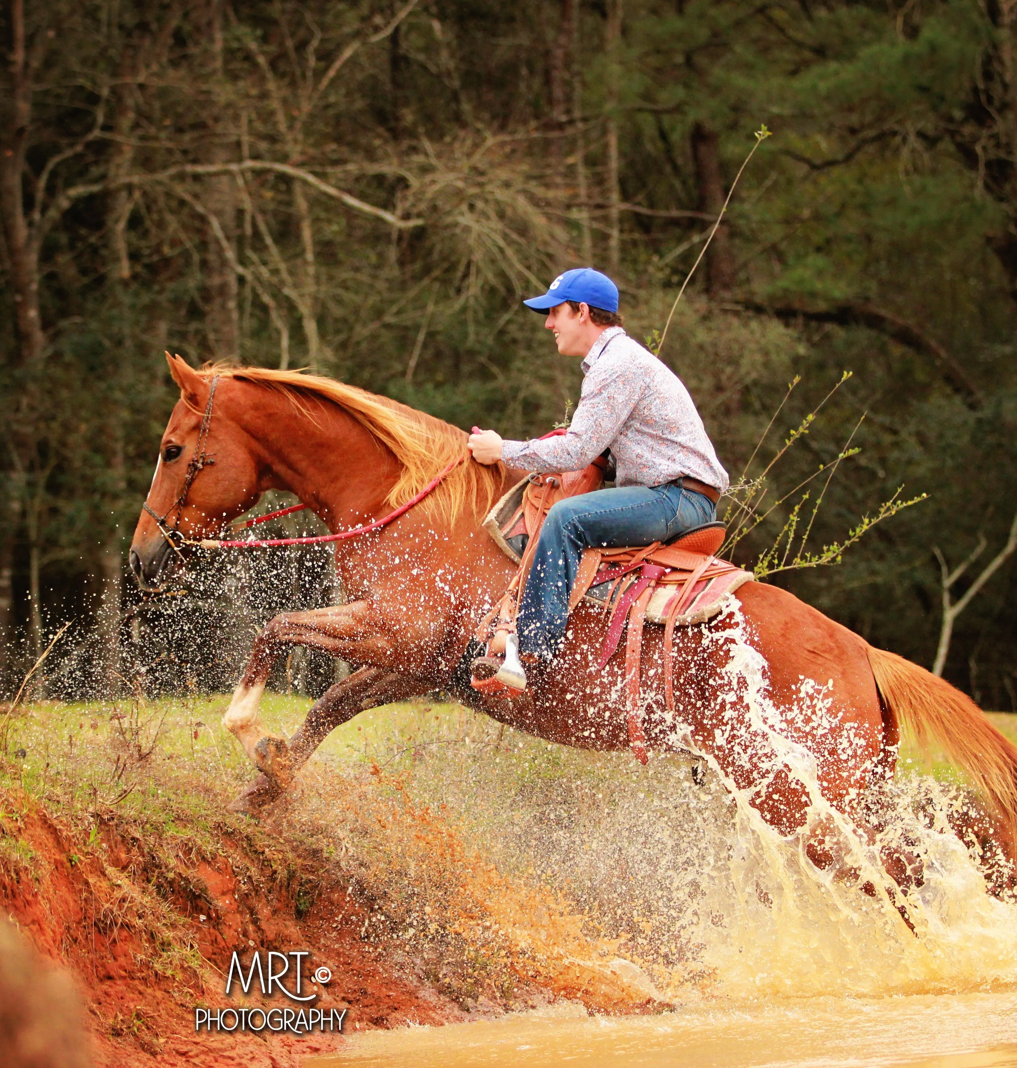 50% Off Horse Training With $500 Deposit Today