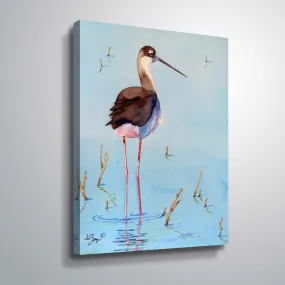 " Black Neck Stilt III" Gallery Wrapped Canvas