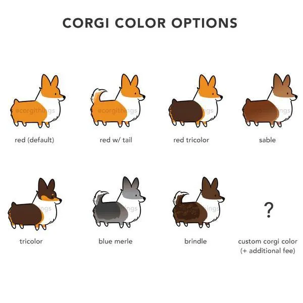 "Wizard" Corgi Garden Flag | 4 Colors