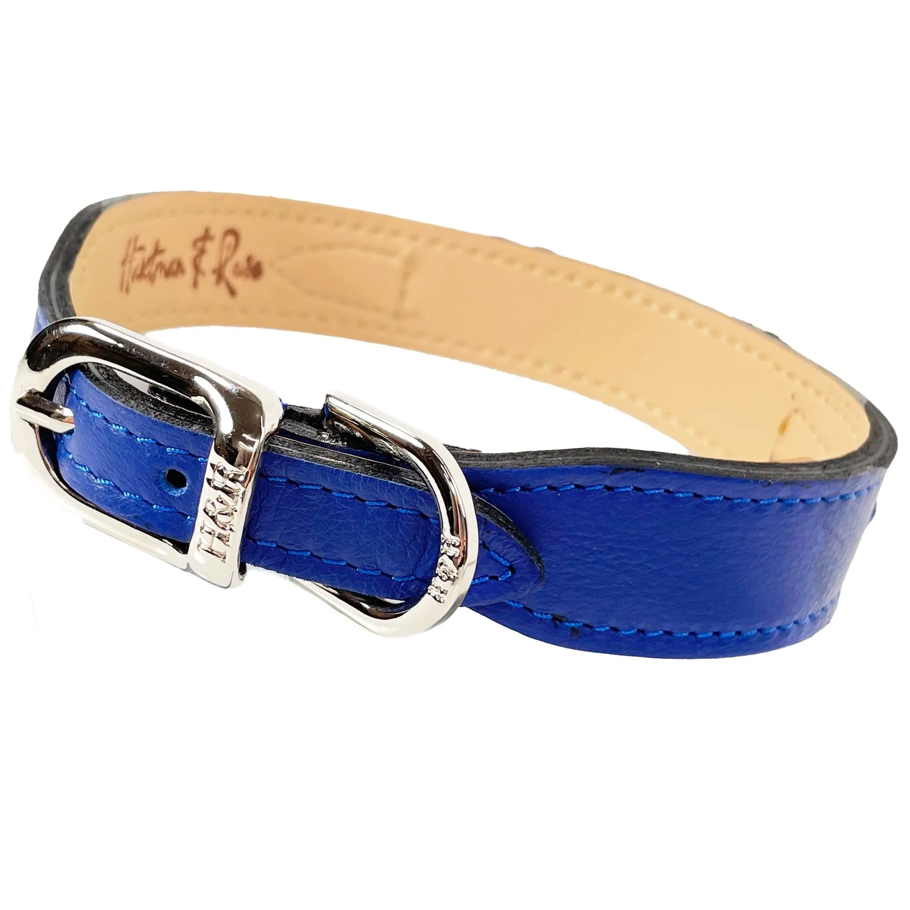 Signature Dog Collar in Cobalt Blue & Nickel